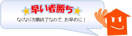 �ɥ��ܡ��ԣ�.JPG