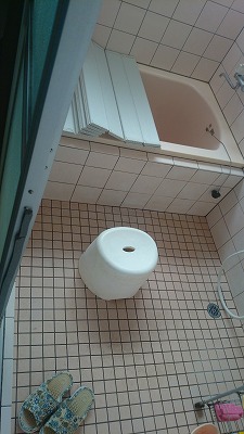 浴室改修工事をされた　新潟市江南区N様　リフォーム